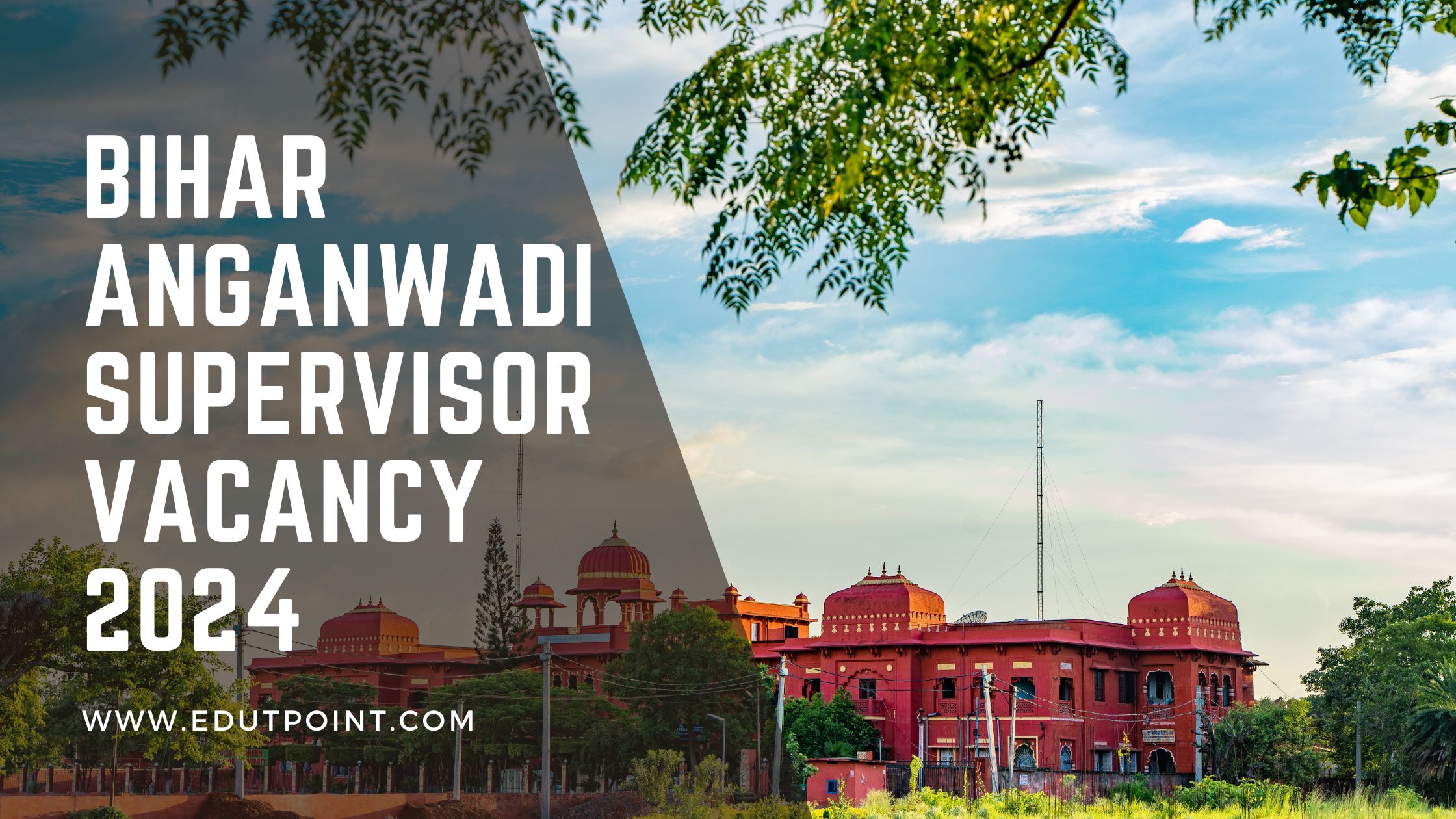 Bihar Anganwadi Supervisor Vacancy 2024